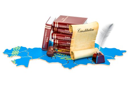 Конституция вектор