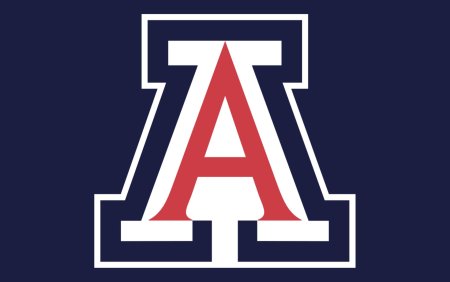 Аризонский университет Wildcats