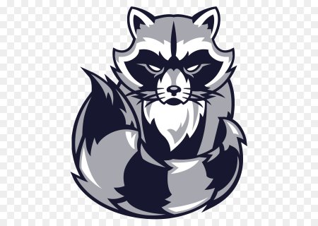 Ракун Гаминг