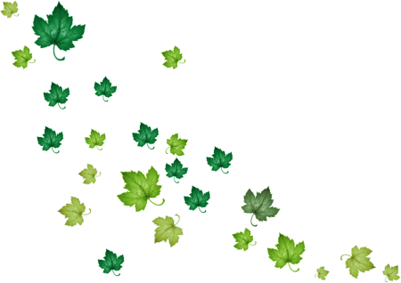 Мелкие листья на белом фоне