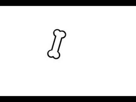 Кости Санса