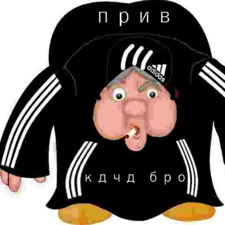 Алеша Попович гопник