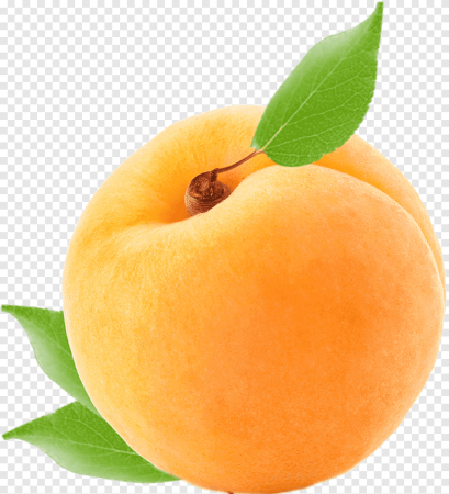 Apricots – абрикосы