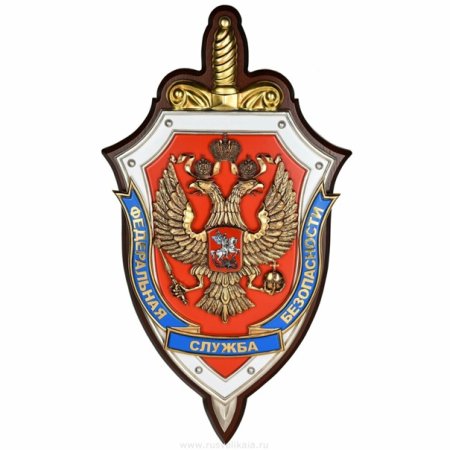 Федеральная служба безопасности (ФСБ)