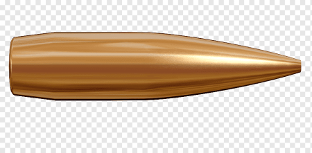 338 Lapua Magnum scenar