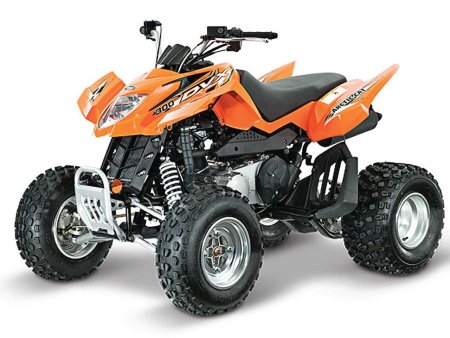 Arctic Cat 300 DVX