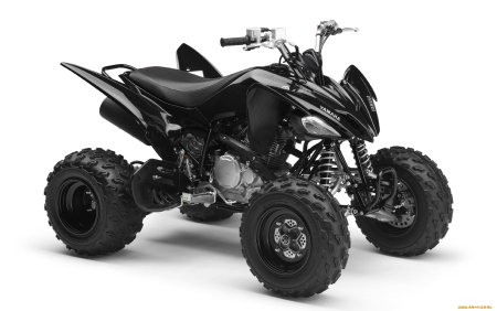 Yamaha Raptor yfm250