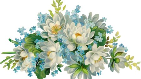 Цветы на прозрачном фоне