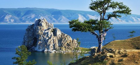 Лиственница на Байкале