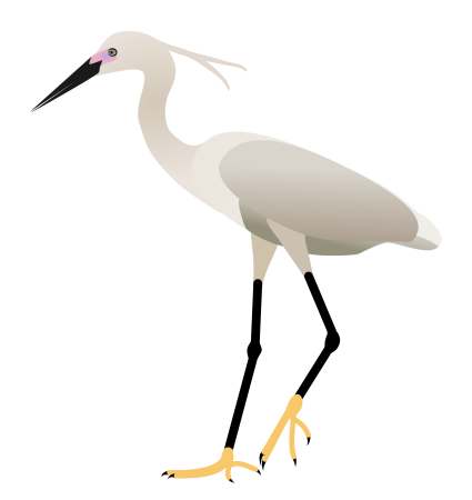 Журавль рисунок для детей