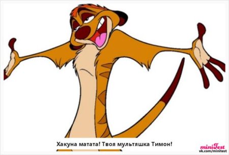 Тимон из мультика на прозрачном фоне
