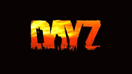 Шапка DAYZ