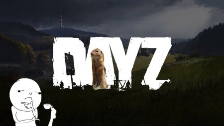 DAYZ зайцы