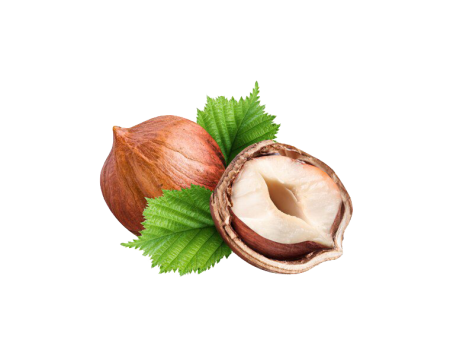 Лесной орех