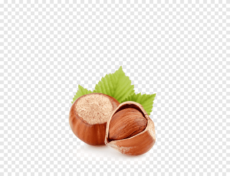 Фундук вид сверху