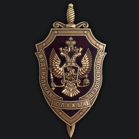 Федеральная служба безопасности России (ФСБ РФ)