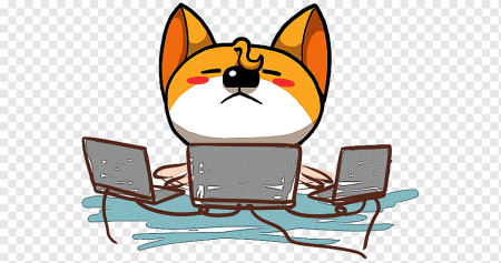 Кот за компьютером