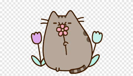 Котики пушинки