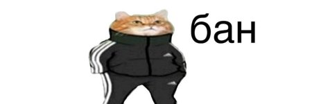 Забанен Мем с котом