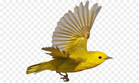 Канарейка в полете