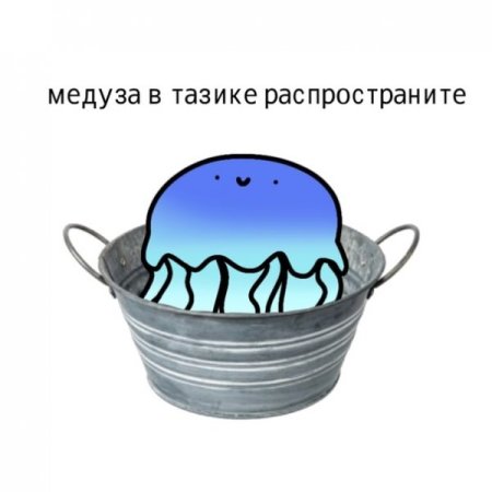 В тазике распространите