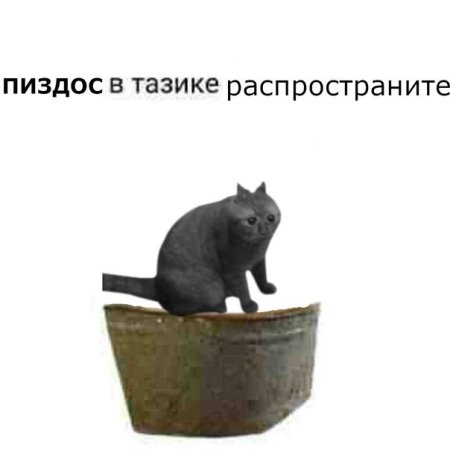 В тазике распространите