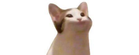 Кот открывает рот Мем