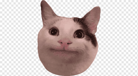 Счастливый кот Мем