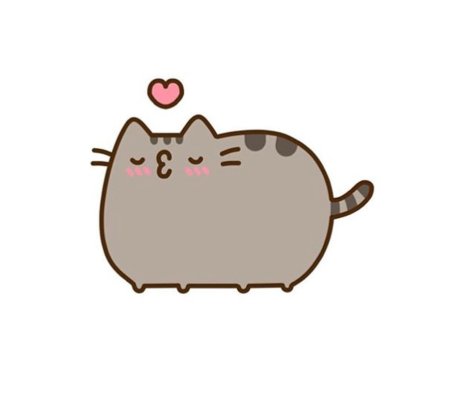 Котик Пушин