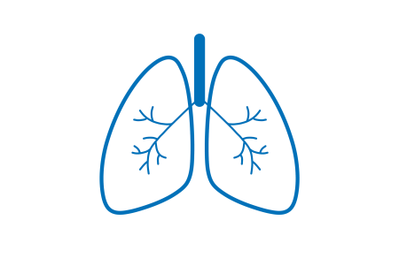 Легкие рисунки