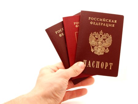 Паспорт РФ без фона