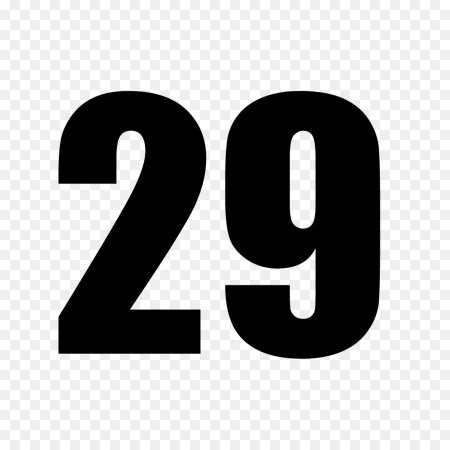 Цифра 29