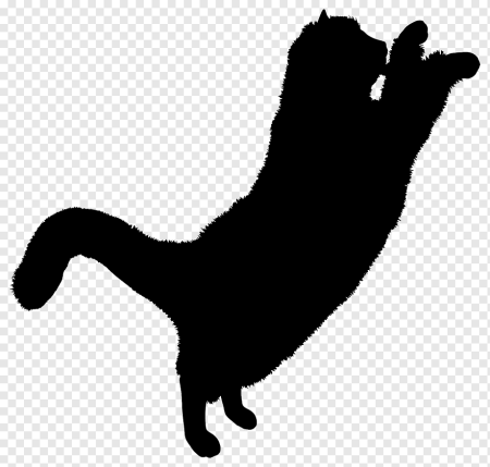 Черная кошка на прозрачном фоне