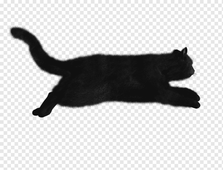 Кошка вид сверху
