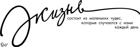 Красивые высказывания на белом фоне