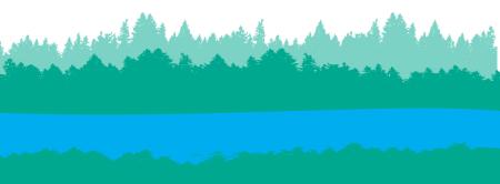 Лес озеро вектор