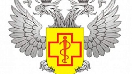 Герб России Орел санитарный в ЗТП