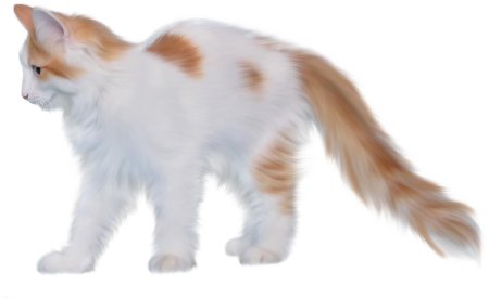 Картинки рыжий кот без фона (54 фото)