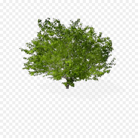 Кусты для фотошопа