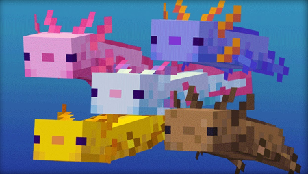 Аксолотль Minecraft 1.17