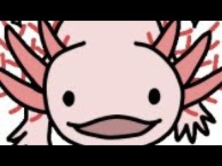 Аксолотль в адопте