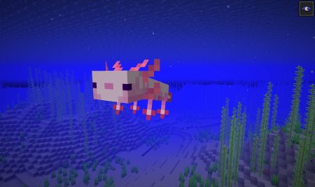 Аксолотль Minecraft 1.17
