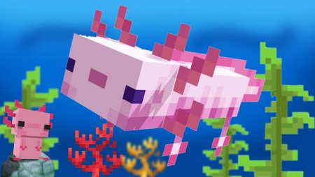 Аксолотль Minecraft