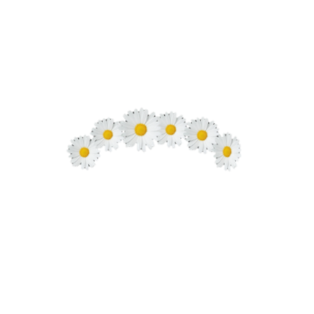 Венок из ромашек