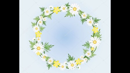 Венок из ромашек акварель