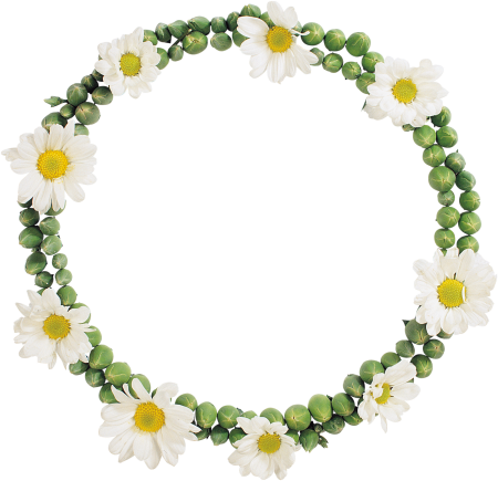 Круглая рамка из ромашек
