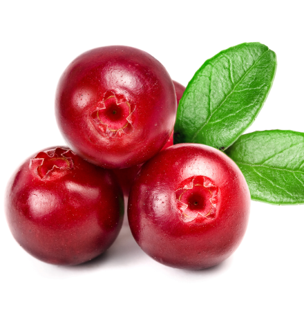 Cowberry брусника