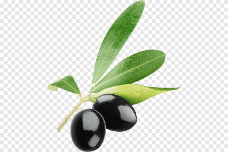 Оливки на прозрачном фоне