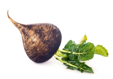 Репа черная