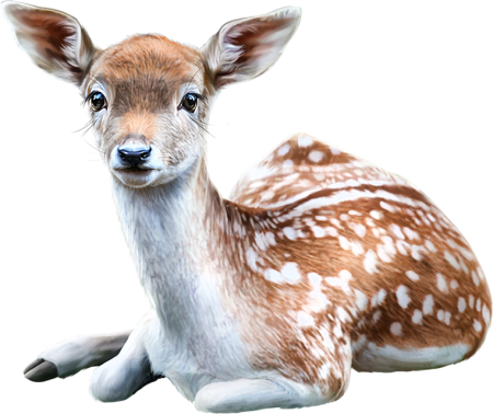 Лань для детей